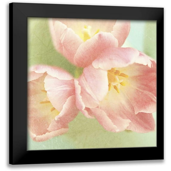 Gardner, Sarah 15x15 Black Modern Framed Museum Art Print Titled - Resplendent Pink Blossoms Square