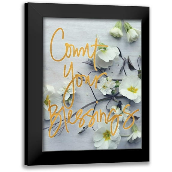 Gardner, Sarah 19x24 Black Modern Framed Museum Art Print Titled - Count Your Blessings