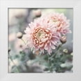 thumbnail image 1 of Gardner, Sarah 20x20 White Modern Wood Framed Museum Art Print Titled - Muted Daisy, 1 of 4