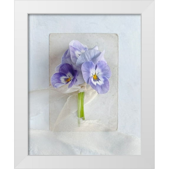 Gardner, Sarah 20x24 White Modern Wood Framed Museum Art Print Titled - A Little Beauty