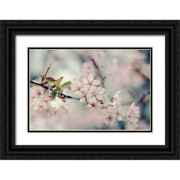 Gardner, Sarah 24x17 Black Ornate Wood Framed with Double Matting Museum Art Print Titled - A Branch of Beauty