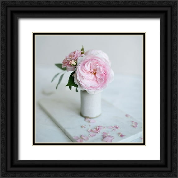 Gardner, Sarah 26x26 Black Ornate Wood Framed with Double Matting Museum Art Print Titled - A Single Rose