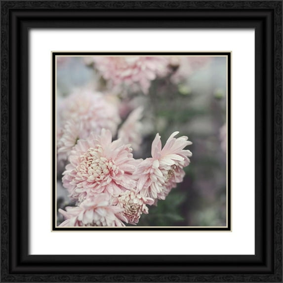 Gardner, Sarah 26x26 Black Ornate Wood Framed with Double Matting Museum Art Print Titled - Evening Blooms