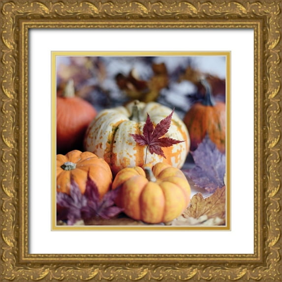 Gardner, Sarah 26x26 Gold Ornate Wood Framed with Double Matting Museum Art Print Titled - A Bright Harvest II