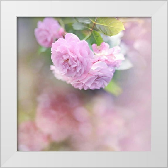 Gardner, Sarah 26x26 White Modern Wood Framed Museum Art Print Titled - Graceful Floral