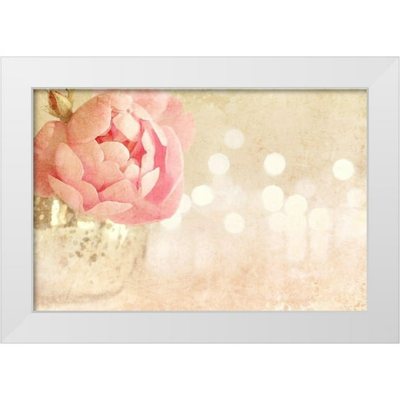 Gardner, Sarah 32x23 White Modern Wood Framed Museum Art Print Titled - Spotlight Blooms
