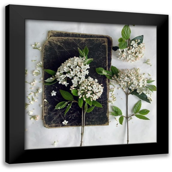 Gardner, sarah 15x15 Black Modern Framed Museum Art Print Titled - Read in the Garden Square