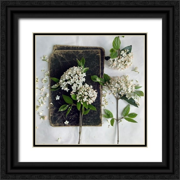Gardner, sarah 26x26 Black Ornate Wood Framed with Double Matting Museum Art Print Titled - Read in the Garden Square