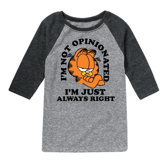 Garfield - Always Right - Toddler & Youth Raglan Graphic T-Shirt