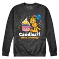 thumbnail image 1 of Garfield - Candles Who's Counting - Men's Crew Neck Fleece Pullover, 1 of 1