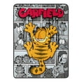 thumbnail image 1 of Garfield Cat Scratch Smile Kids Micro Raschel Throw Blanket, 1 of 5