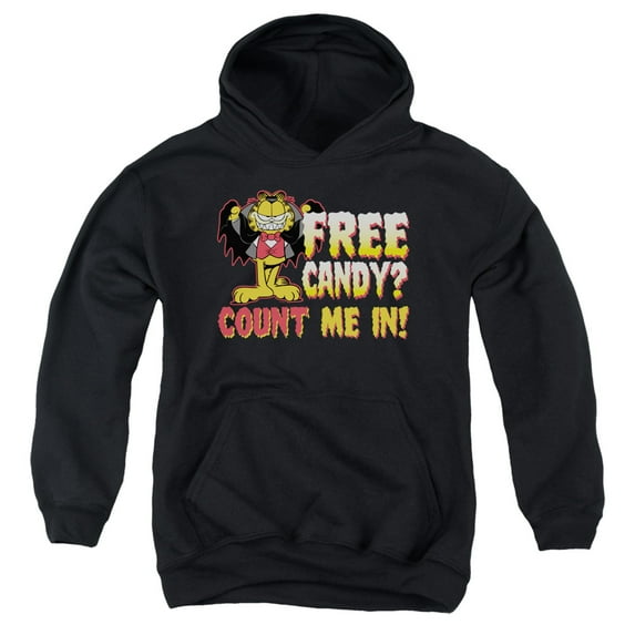 Garfield - Count Me In - Youth Hooded Sweatshirt - Small