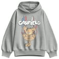 thumbnail image 1 of Garfield - Garfield Americana Oversized Fleece Hoodie Sweatshirt, 1 of 3
