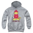 thumbnail image 1 of Garfield Im Used To It Youth Pullover Hoodie Sweatshirt Heather, 1 of 1