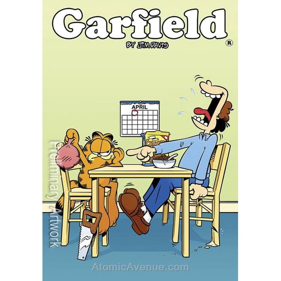 Garfield (KaBoom!) #24 VF ; Boom! Comic Book