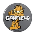thumbnail image 1 of Garfield with Logo Pinback Button Pin, 1 of 5