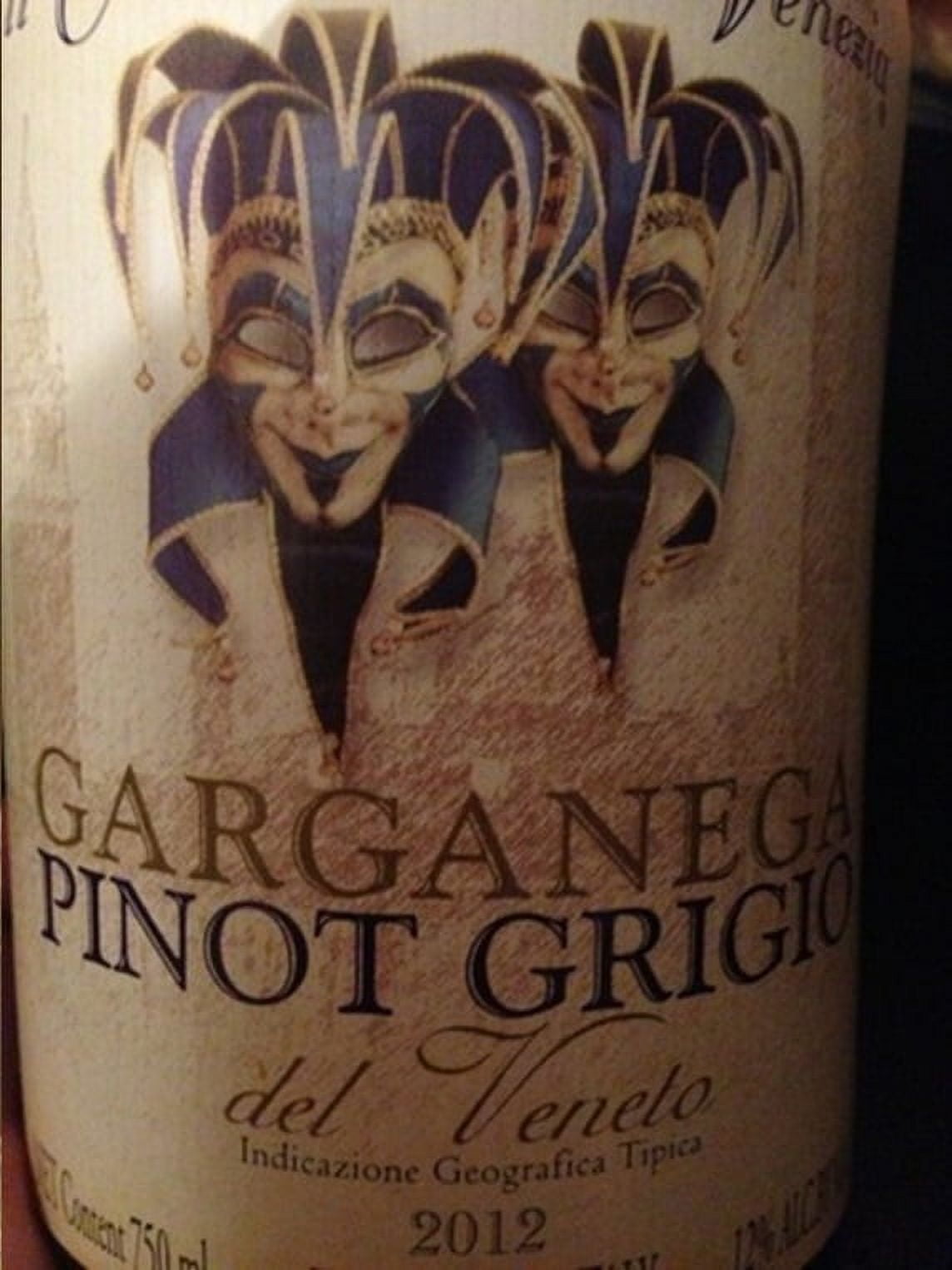 Garganega Pinot Grigio Wine 750mL Bottle with 12% Alcohol Content