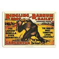 thumbnail image 1 of Gargantua the Great Gorilla - Ringling Brothers and Barnum & Bailey Circus - Greatest Show on Earth - Vintage Circus Poster c.1938 - 8 x 12 inch Vintage Metal Tin Sign, 1 of 4