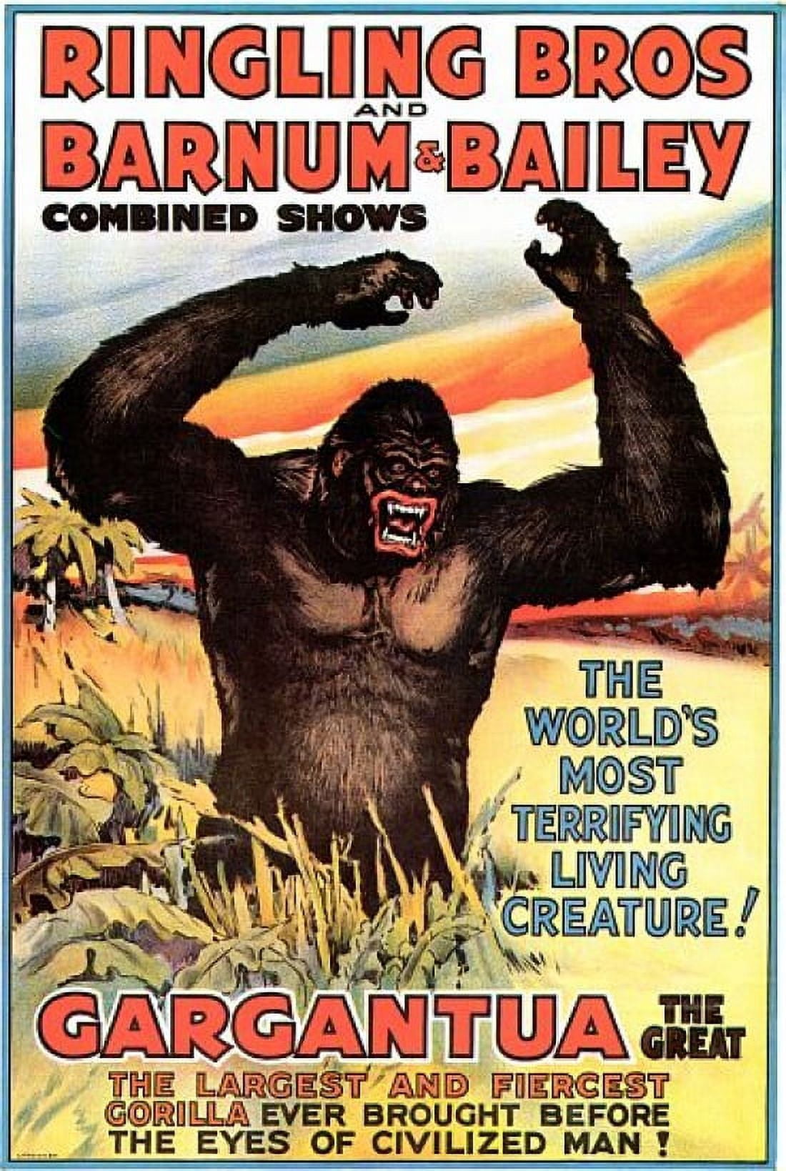 Gargantua The Great Gorilla circus Canvas Art - (18 x 24)
