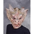 thumbnail image 1 of Gargoyle Mask, 1 of 1