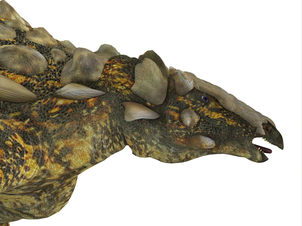 Gargoyleosaurus armored dinosaur portrait Canvas Art - Corey FordStocktrek Images (32 x 24)