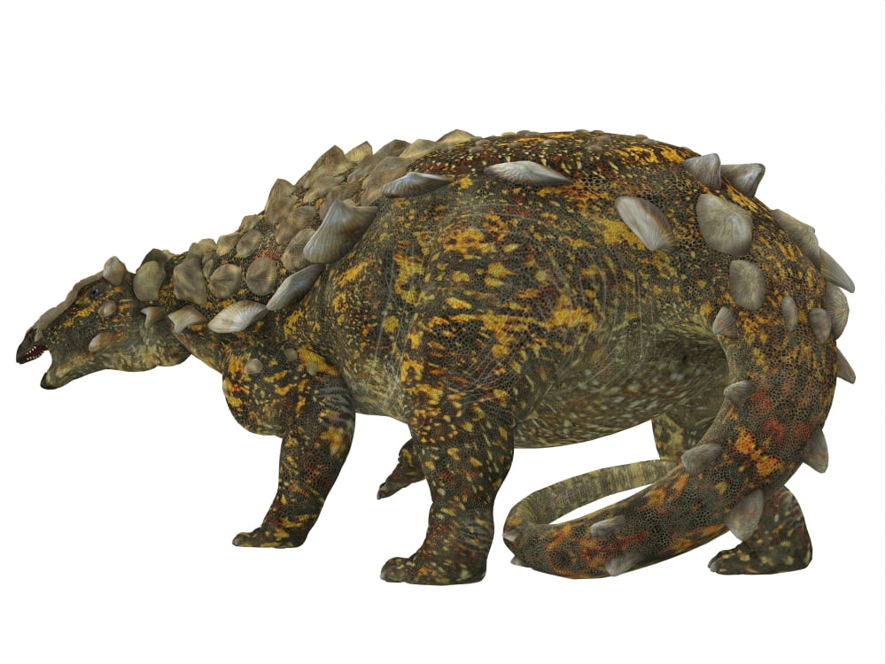 Gargoyleosaurus dinosaur on white background Canvas Art - Corey FordStocktrek Images (32 x 24)