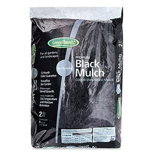 ⭐ Horticultural Charcoal for Indoor Plants [1-Quart Bag] Black Diamond Soil  Amendment for Orchids, Terrariums, and Gardening 