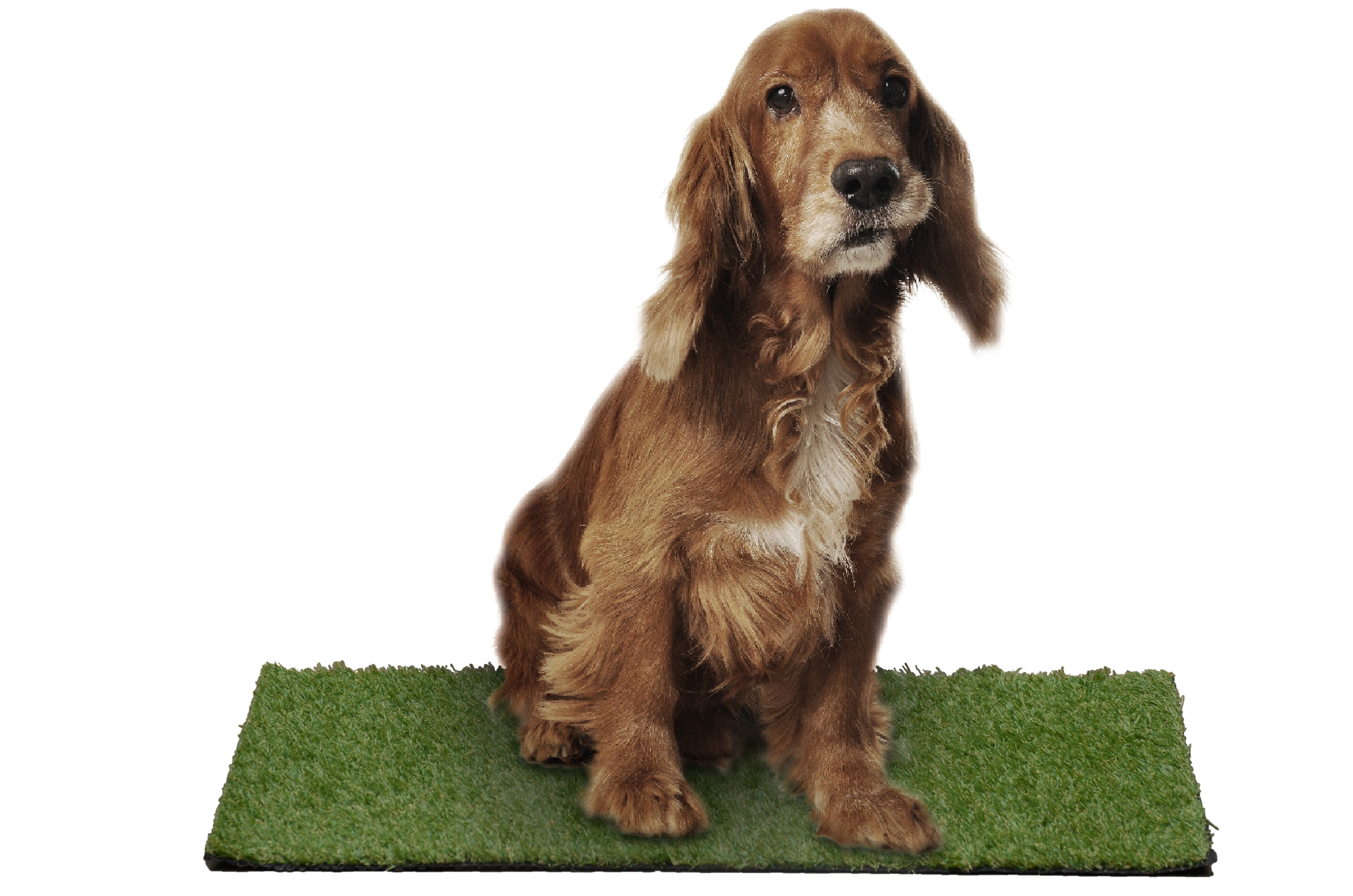 Green Artificial Grass Puppy Pee Pad with Drainage Holes