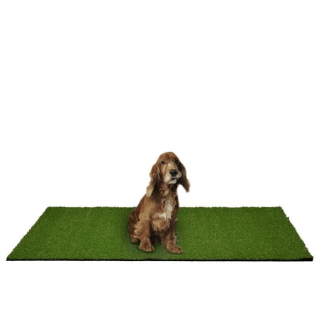 Garland Puppy Pee Pad 4 ft. x 6 ft. Easy Clean with Drainage Holes, Non-Toxic Realistic Artificial Grass Turf