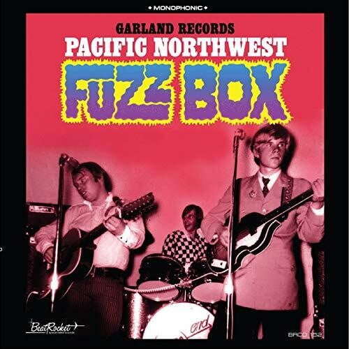 Garland Records - Pacific Northwest Fuzz Box - Music & Performance - Vinyl