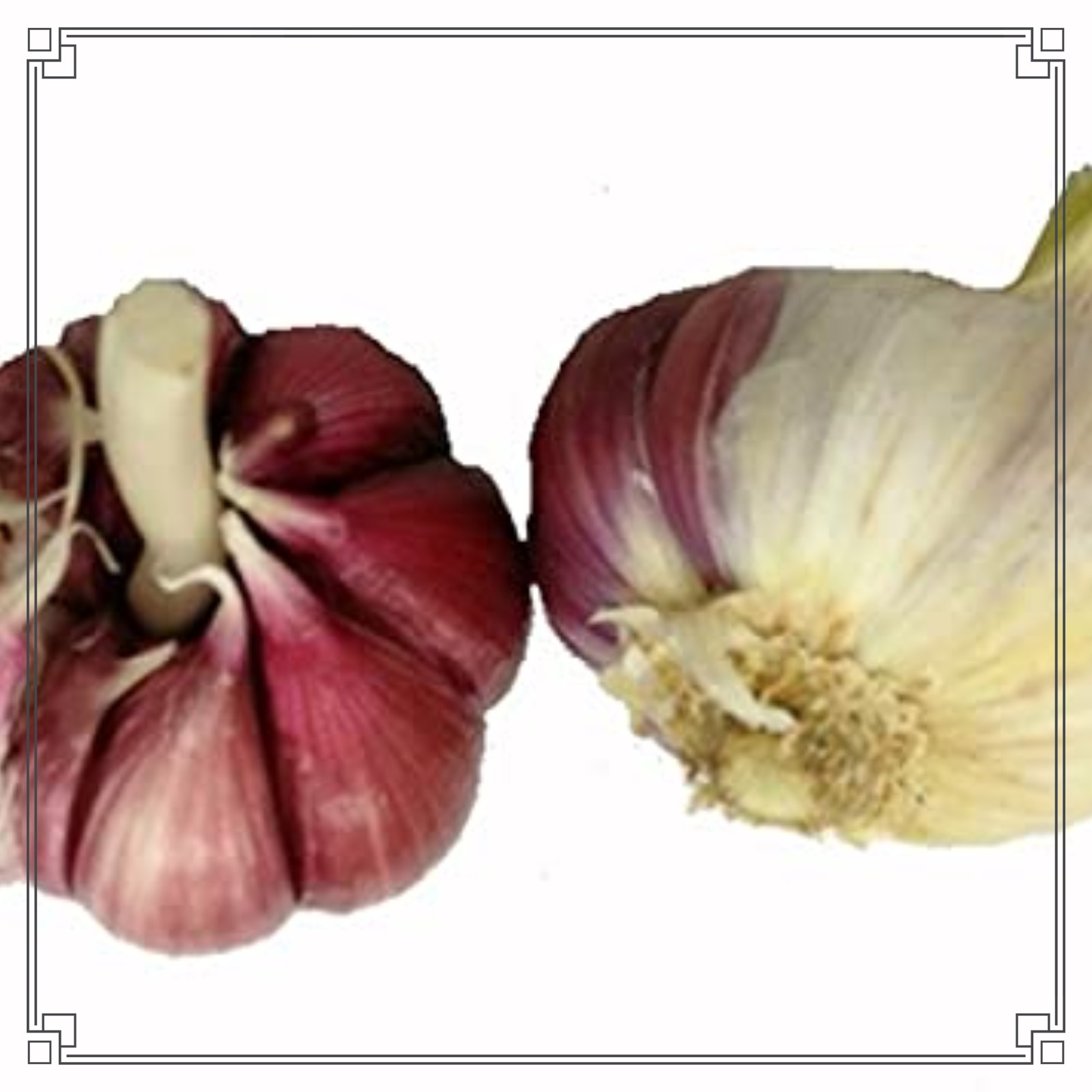 Garlic Bulbs For Planting Garlic Bulbs Garlic Seeds Garlic Plant Peeled