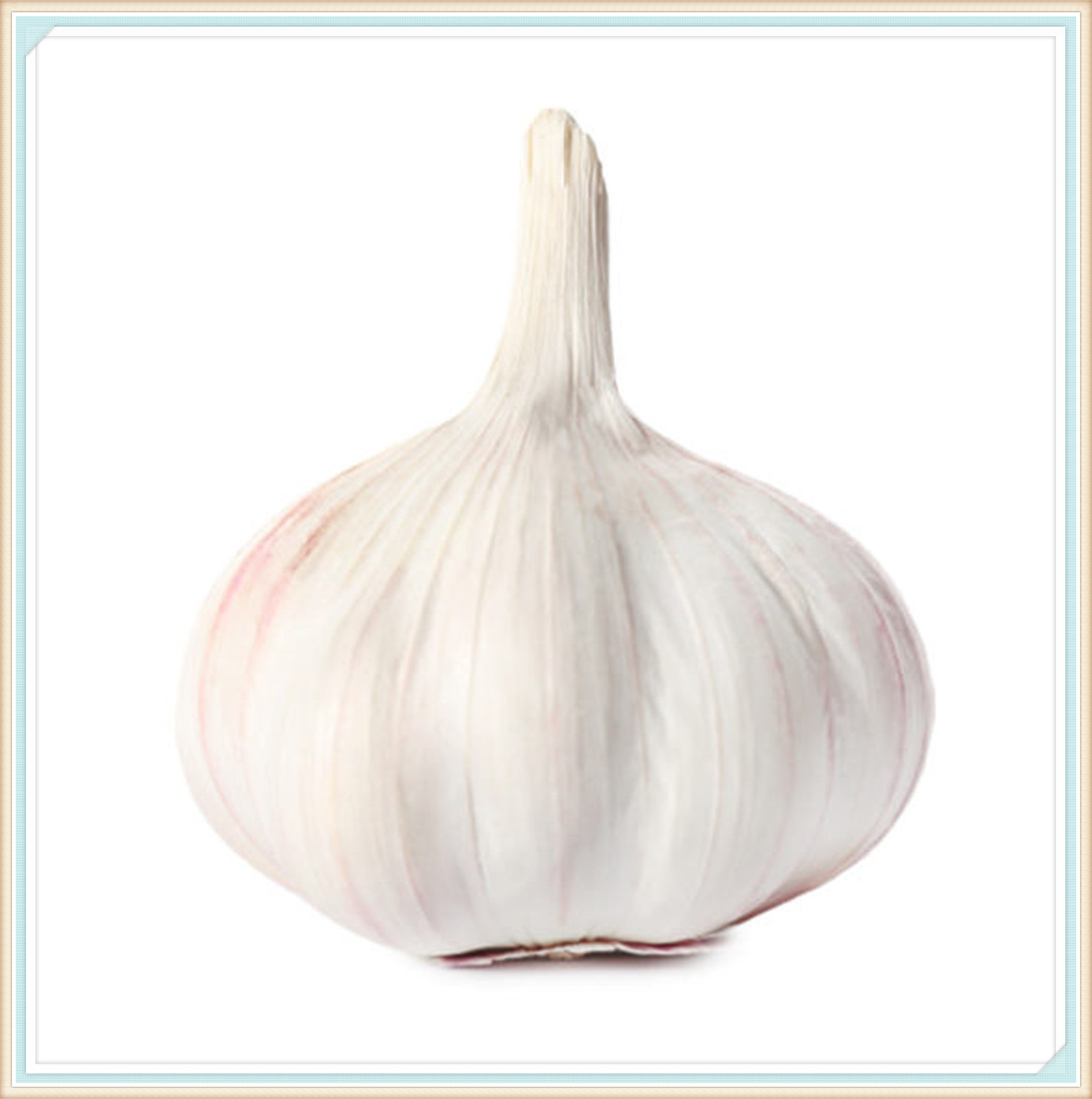 Garlic Bulbs, Organic Garlic,No Additives, Pure Natural Garlic Bulbs