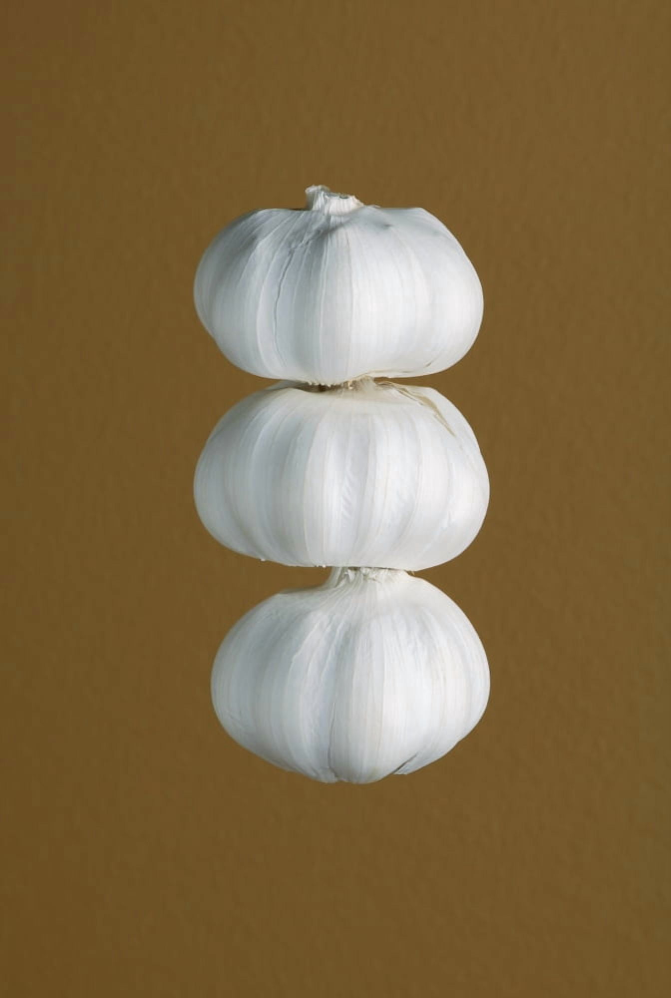Garlic Canvas Art - Darren Greenwood  Design Pics (11 x 17)