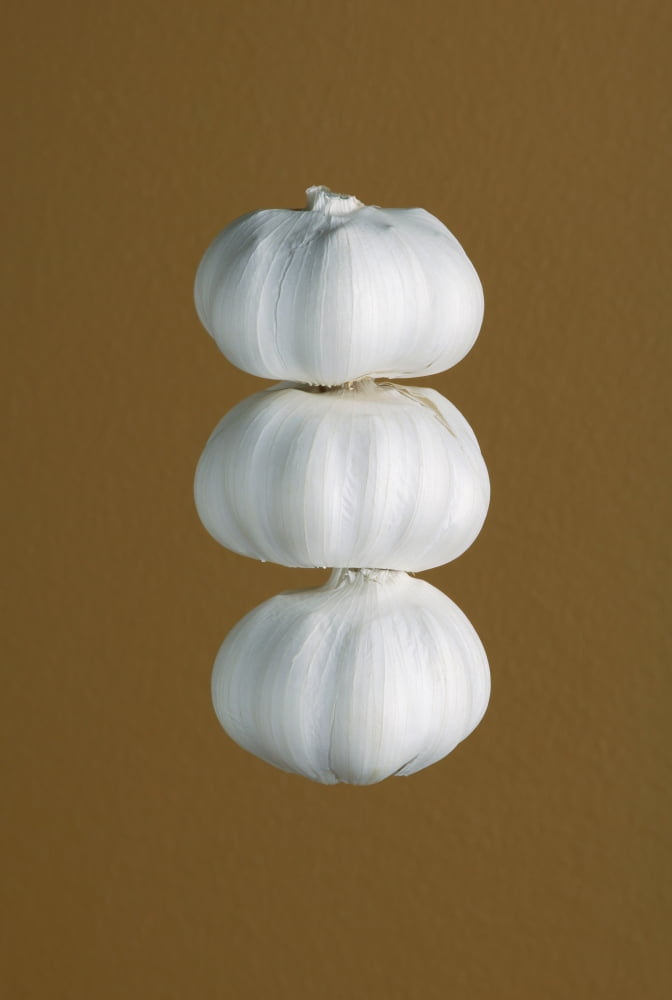 Garlic Canvas Art - Darren Greenwood Design Pics (22 x 34)