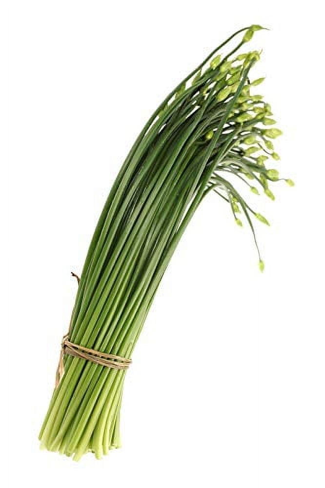 Garlic Chives Herb Seeds, 200 Heirloom Seeds Per Packet, Non GMO Seeds