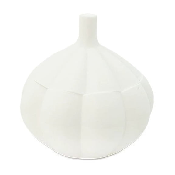 Garlic-Shaped Kitchen Storage Container, Creative Fun And Practical Food Storage For Home Kitchen, Organizing Spices And Small Kitchen Items, 1-Pack