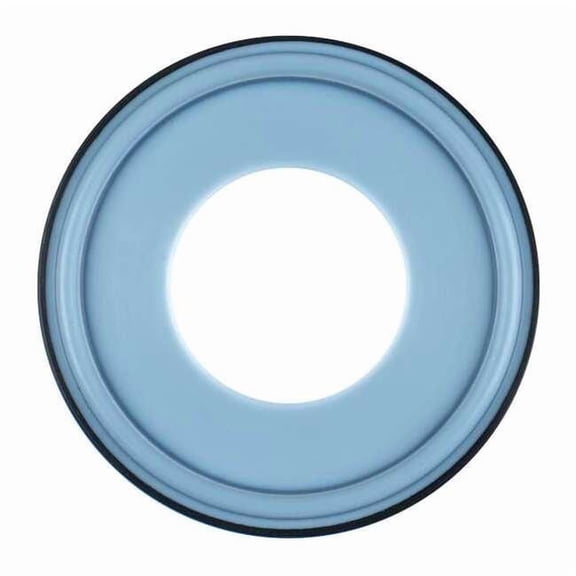 Garlock Gasket,2 In,TufFlex A40MPGR-TF-200-E