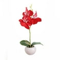 thumbnail image 1 of Garloy Red Artificial Orchid Faux Flowers in vase Fake Plant Floral Arrangements Table Centerpieces for Dining Room Home Office Decorations Indoor Wedding Decor Plastic Phalaenopsis Orchid 1 Pack, 1 of 2