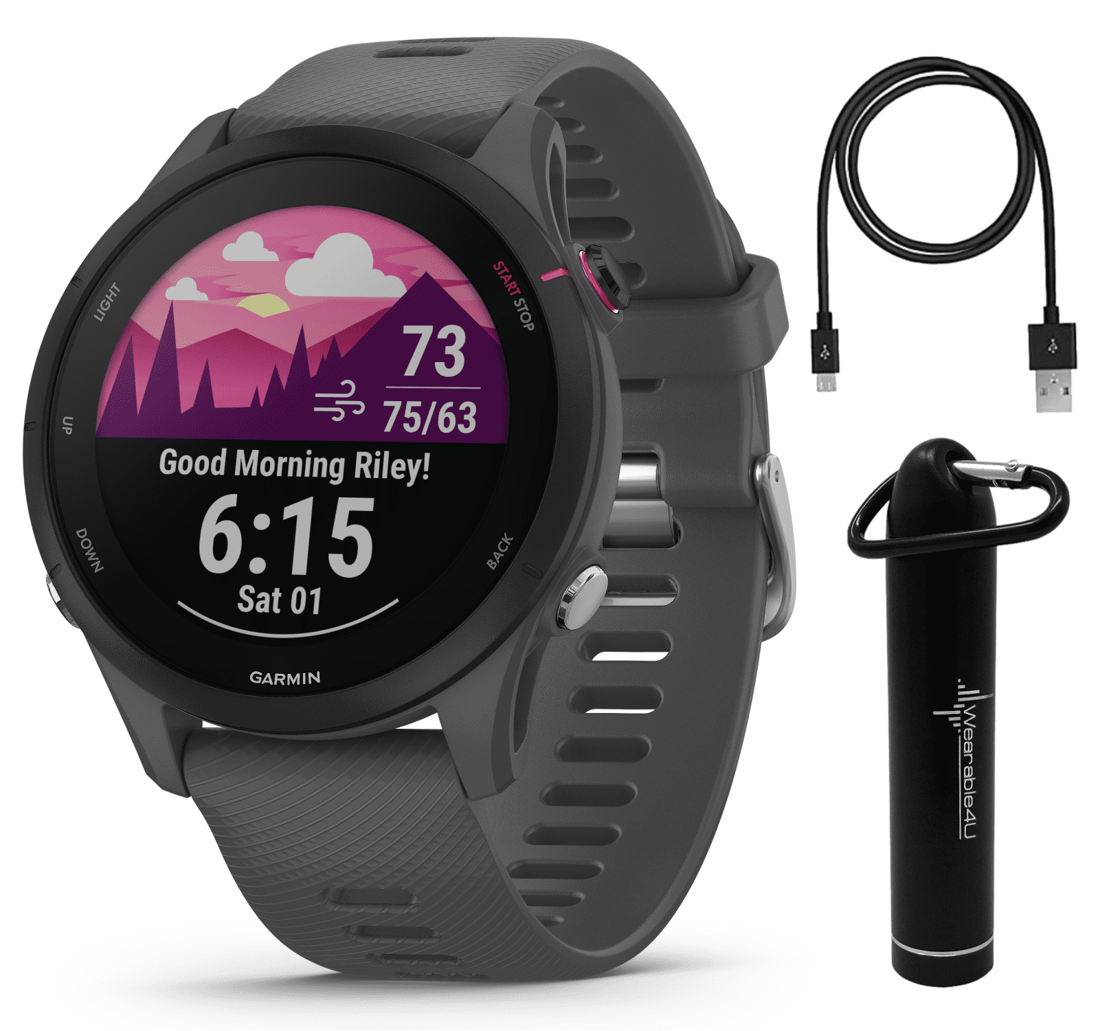 Garmin Forerunner 255 Music (Black) GPS Running Smartwatch | Runner's  Bundle with HD Screen Protectors & Portable Charger | VO2 Max, Race  Predictor