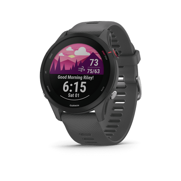 Forerunner® 255  Slate Gray