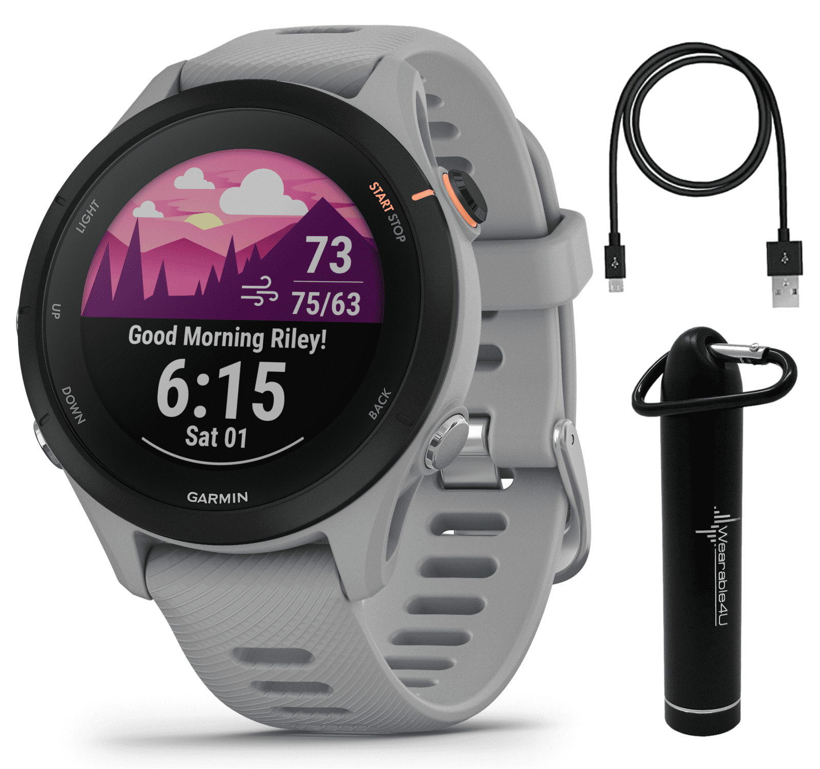 Garmin Forerunner 255 Music (Black) GPS Running Smartwatch | Runner's  Bundle with HD Screen Protectors & Portable Charger | VO2 Max, Race  Predictor