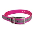 thumbnail image 1 of The Buzzard's Roost  Reflective 1 inch Collar Strap, 1 of 5
