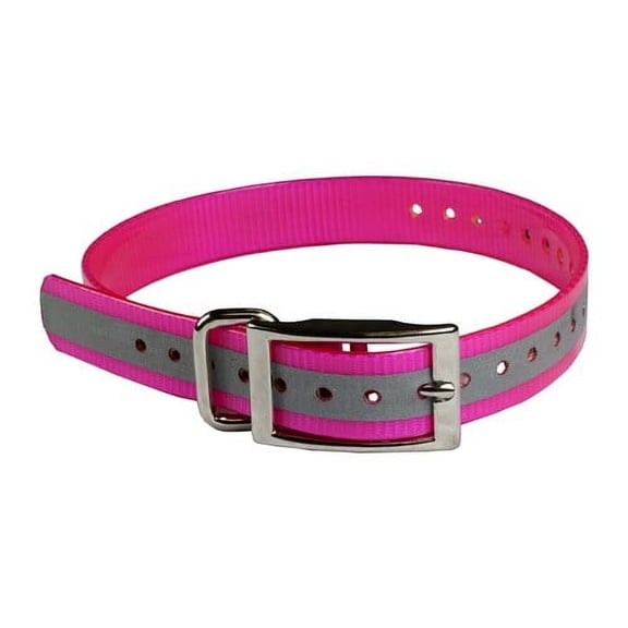 The Buzzard's Roost Reflective 1 inch Collar Strap