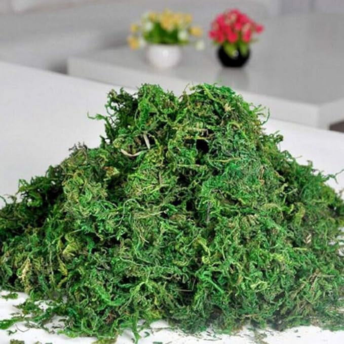 Fake Moss (35 Oz), Artificial Moss for Potted Plants, Fake Moss for Fake  Plants Indoor, Faux Moss for Potted Plants, Large Capacity Moss for Potted