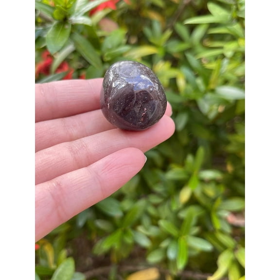 Garnet Tumbled Stones, Polished Garnet Gemstone, Garnet Healing Crystals (Garnet, 0.25 Pound)