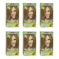 thumbnail image 1 of Garnier Nutrisse Nourishing Color Creme - 70 Dark Natural Blonde - Pack of 6, 1 Application, 1 of 1