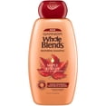 thumbnail image 1 of Garnier Whole Blends™ Maple Remedy Restoring Shampoo, All Hair Types, 12.5 fl. oz. Bottle, 1 of 3
