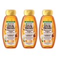 Garnier Whole Blends Moroccan Argan & Camellia Oils Illuminating