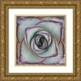 thumbnail image 1 of Garsot 26x26 Gold Ornate Wood Framed with Double Matting Museum Art Print Titled - Macro Succulent, 1 of 4