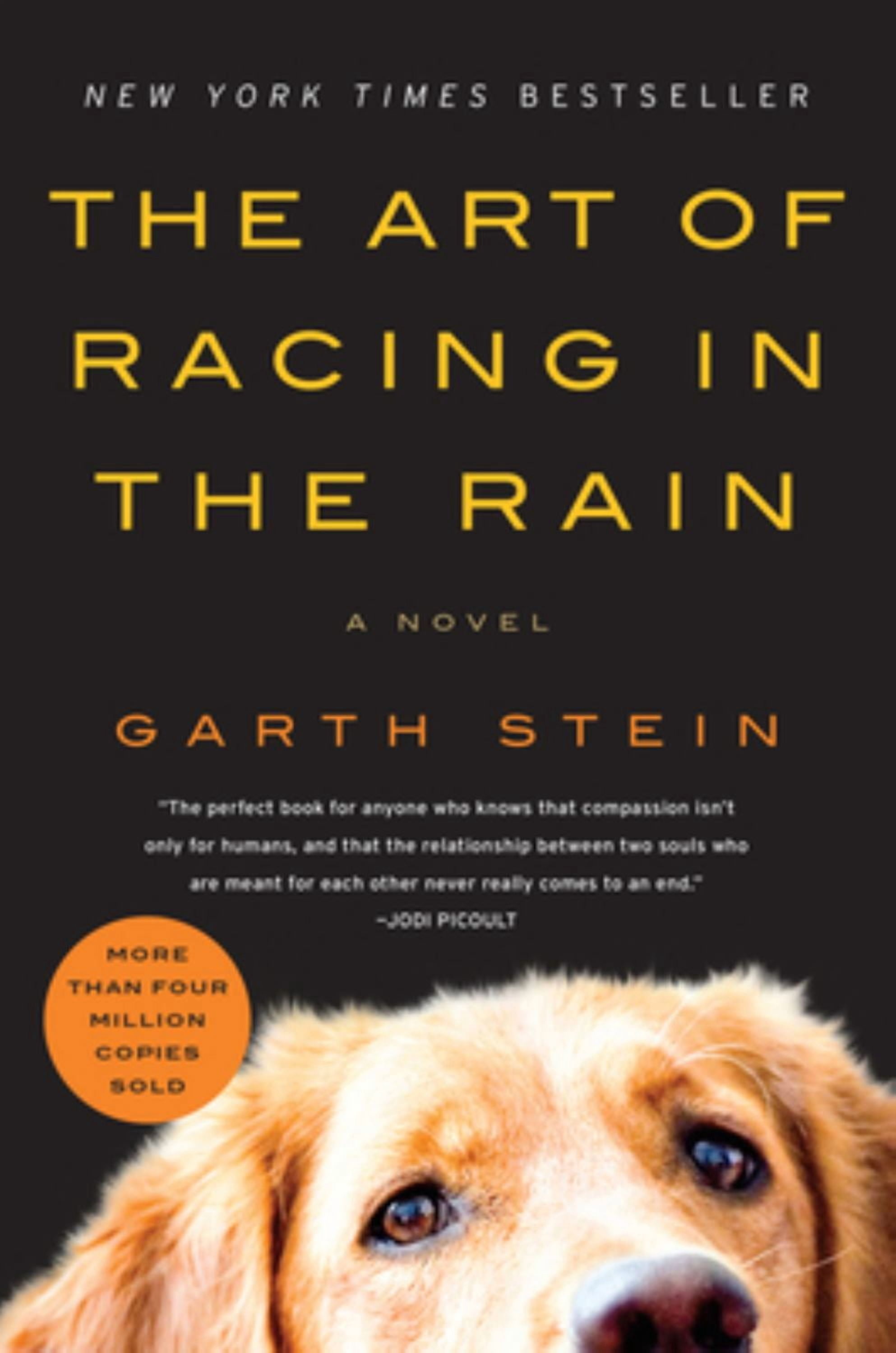 The Art of Racing in the Rain: A Novel (Paperback) - Walmart.com